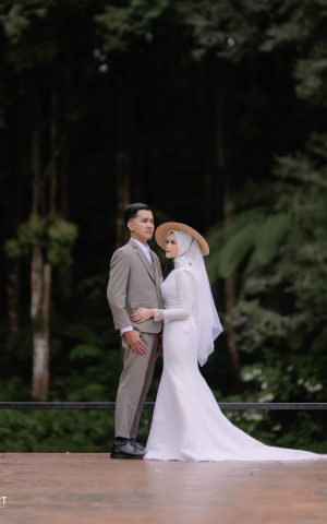 bd3a0985-268f-44be-a808-47d1dc3599d0